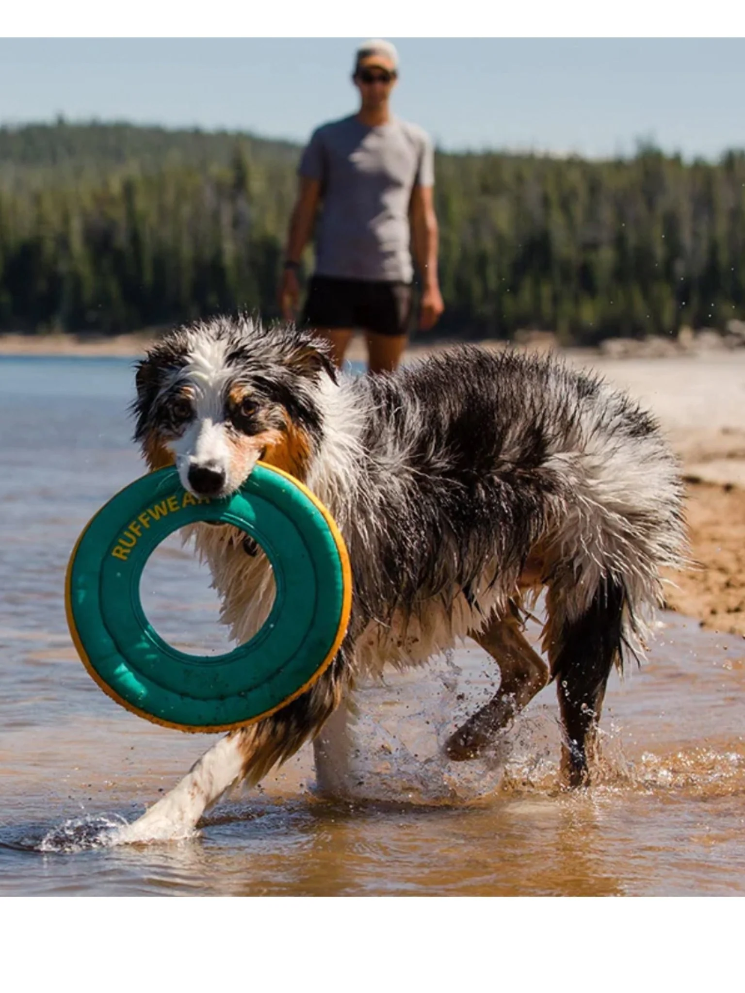 Ruffwear - Hydro Plane™ Floating Throw Dog Toy - High Floating Soft Foam Disc dog toys - Image 4