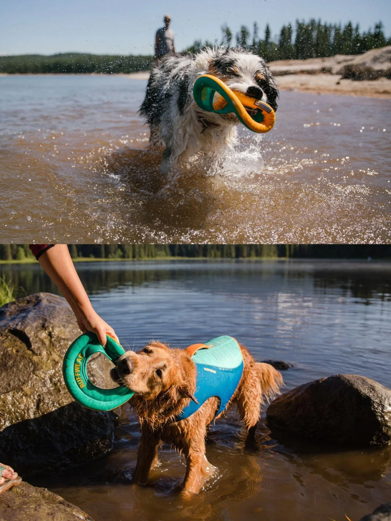 Ruffwear - Hydro Plane™ Floating Throw Dog Toy - High Floating Soft Foam Disc dog toys - Image 5